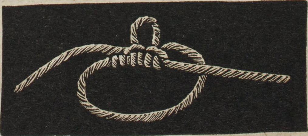 An illustration from Florence home needle-work, 1889, leaf 38