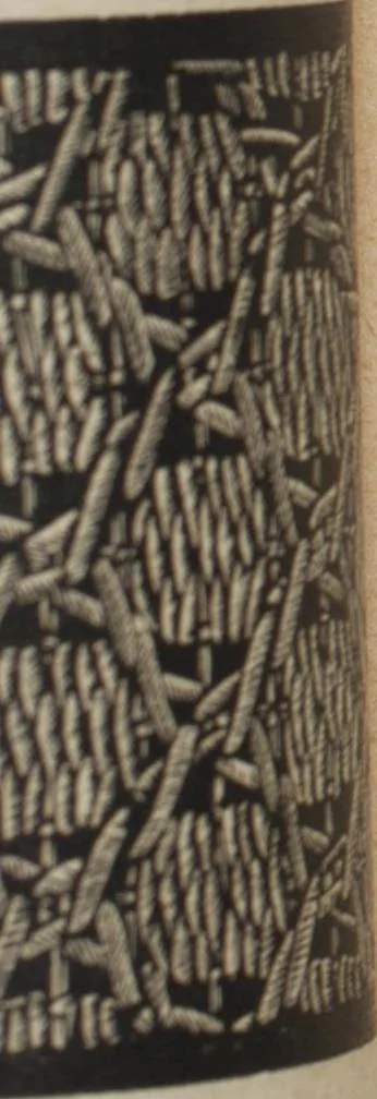 An illustration from Florence home needle-work, 1889, leaf 76
