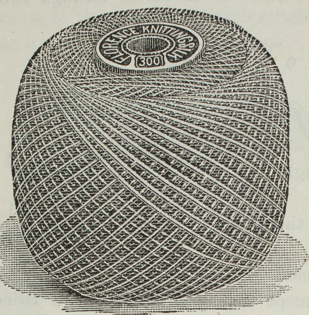 An illustration from Florence home needle-work, 1891, leaf 11