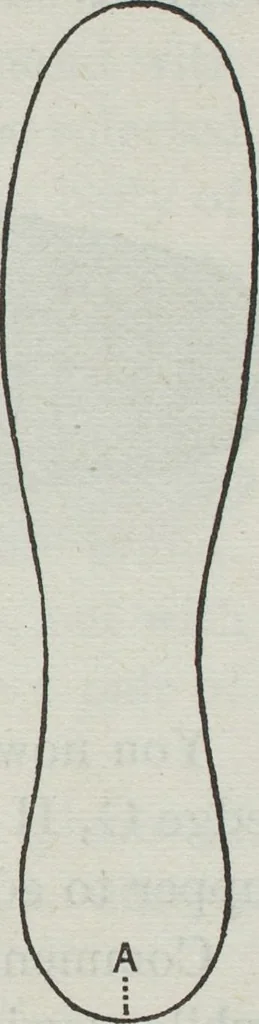 An illustration from Florence home needle-work, 1891, leaf 14