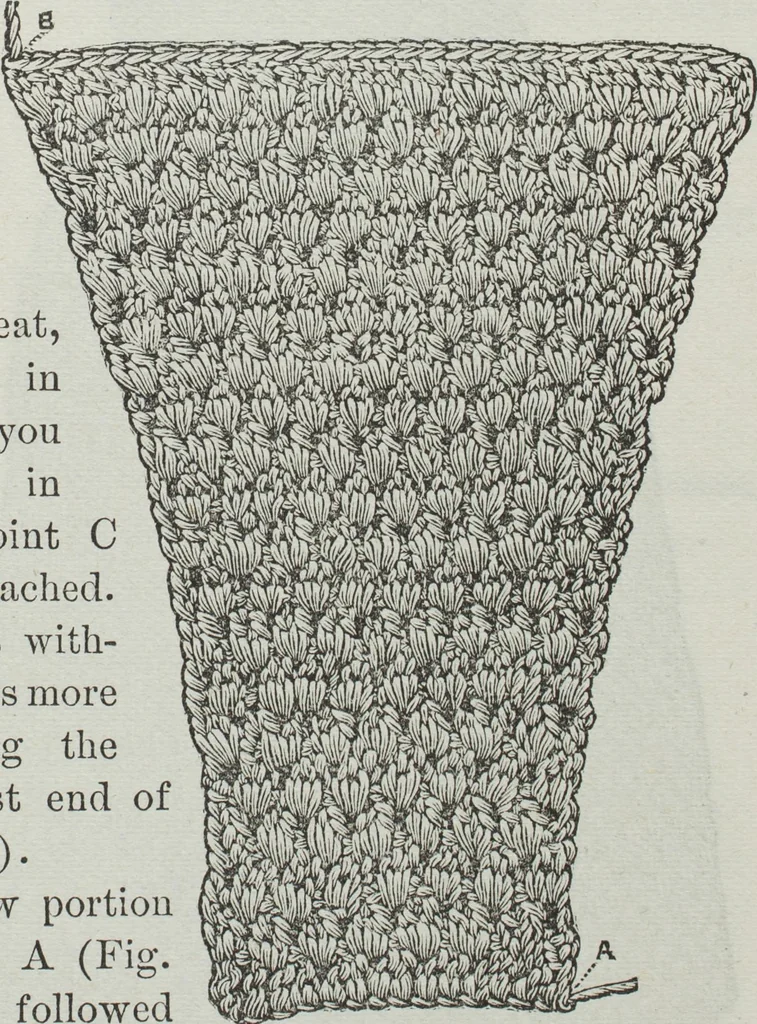 An illustration from Florence home needle-work, 1891, leaf 22
