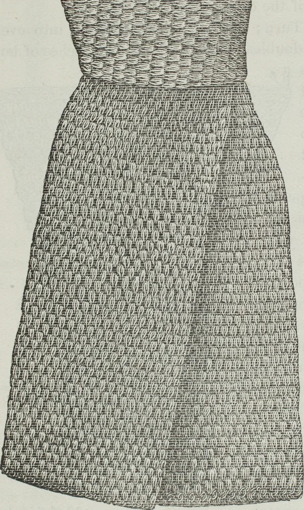An illustration from Florence home needle-work, 1891, leaf 23