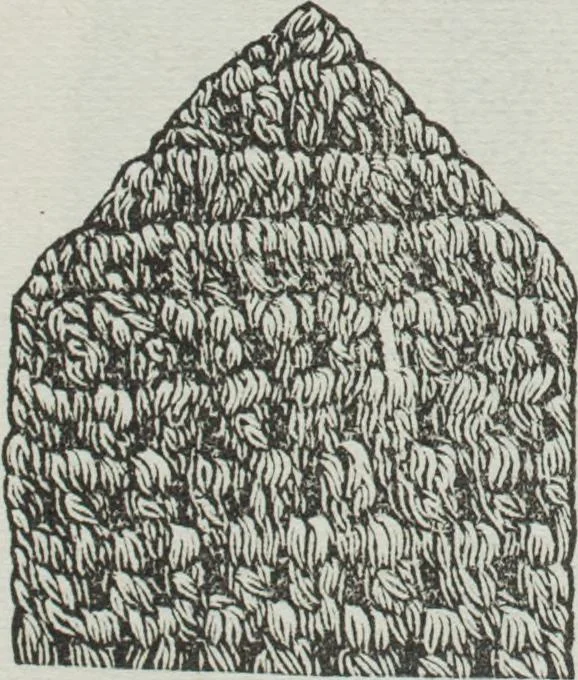 An illustration from Florence home needle-work, 1891, leaf 25