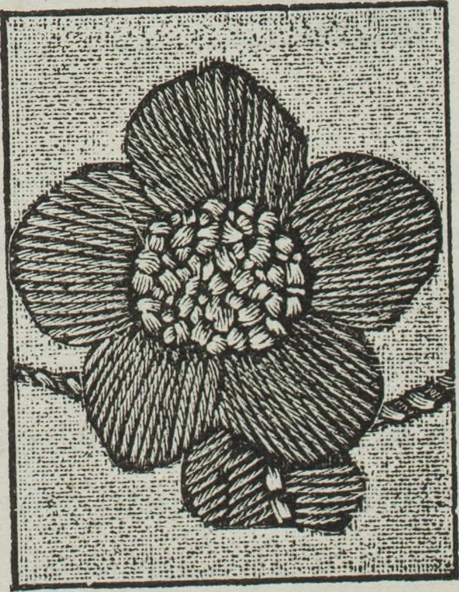 An illustration from Florence home needle-work, 1891, leaf 80