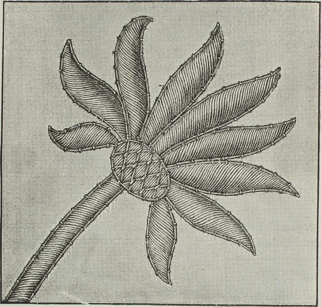 An illustration from Florence home needle-work, 1891, leaf 81