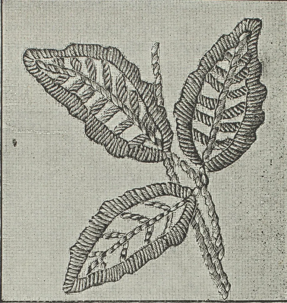An illustration from Florence home needle-work, 1891, leaf 82