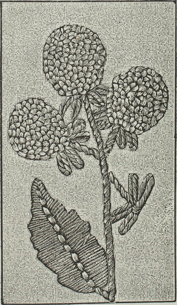 An illustration from Florence home needle-work, 1891, leaf 82
