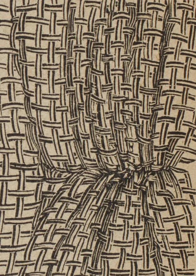 An illustration from Florence home needle-work, 1892, leaf 11