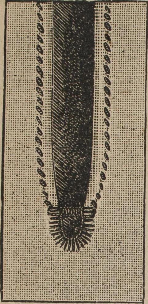 An illustration from Florence home needle-work, 1892, leaf 59