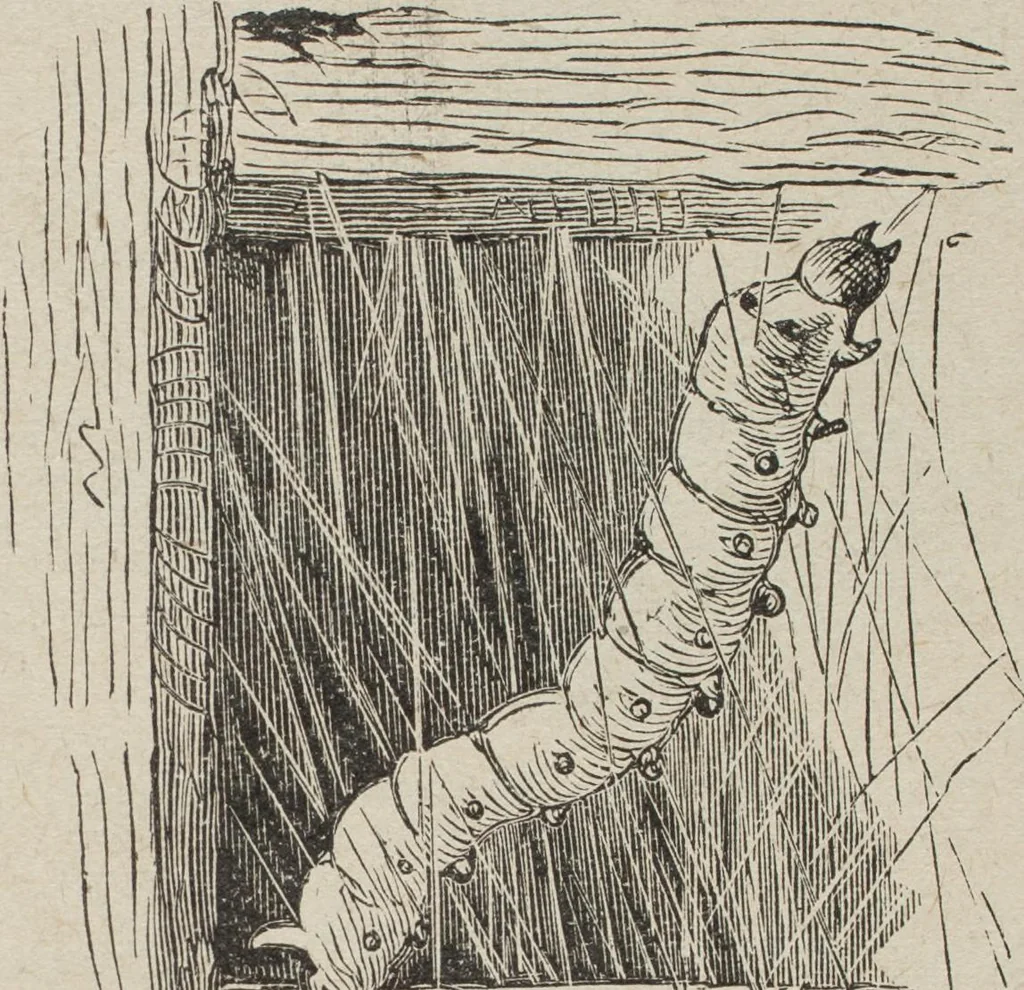 An illustration from Florence home needle-work, 1893, leaf 50