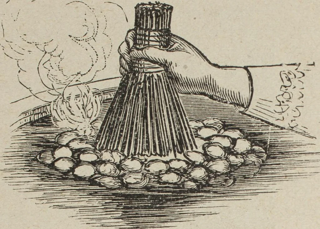 An illustration from Florence home needle-work, 1893, leaf 51