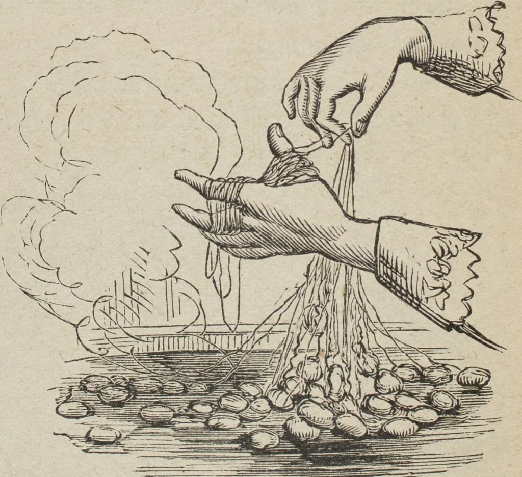 An illustration from Florence home needle-work, 1893, leaf 51