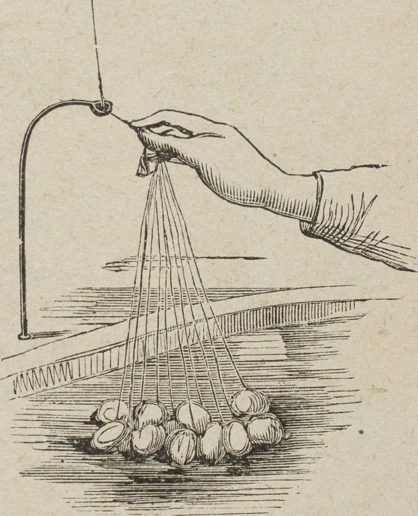 An illustration from Florence home needle-work, 1893, leaf 52