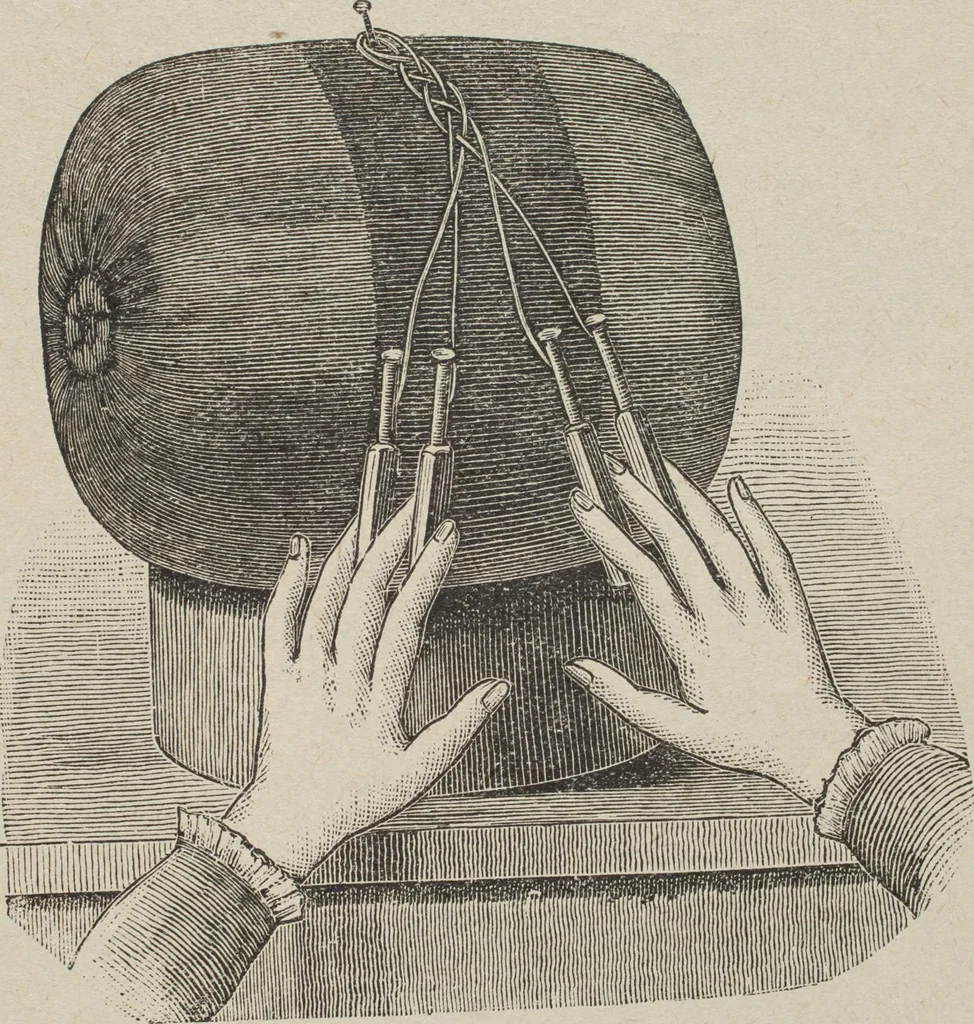 An illustration from Florence home needle-work, 1893, leaf 58