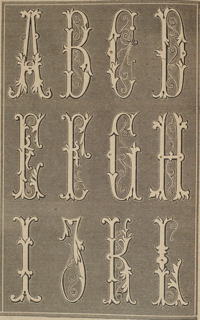 An illustration from Florence home needle-work, 1893, leaf 81