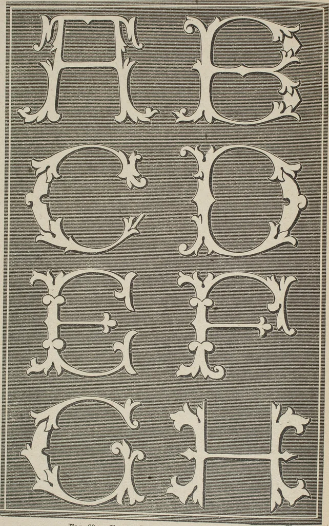 An illustration from Florence home needle-work, 1893, leaf 83