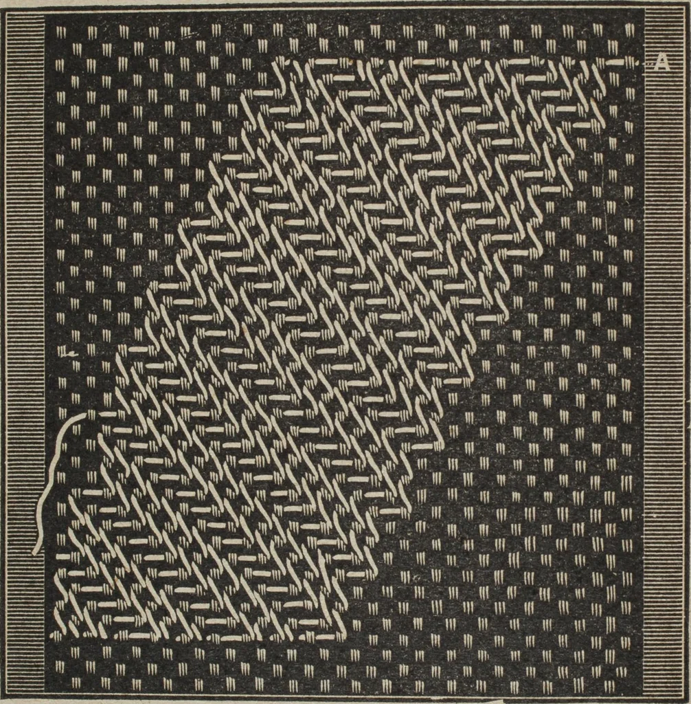 An illustration from Florence home needle-work, 1894, leaf 17