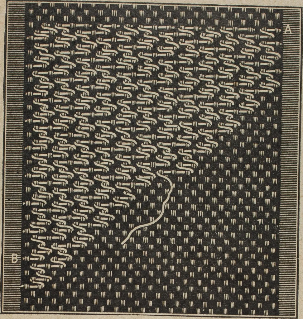 An illustration from Florence home needle-work, 1894, leaf 20