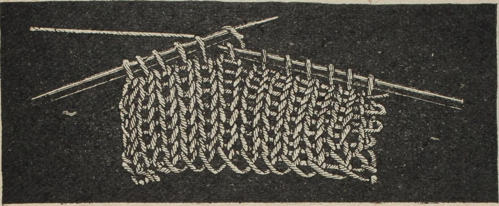An illustration from Florence home needle-work, 1894, leaf 39