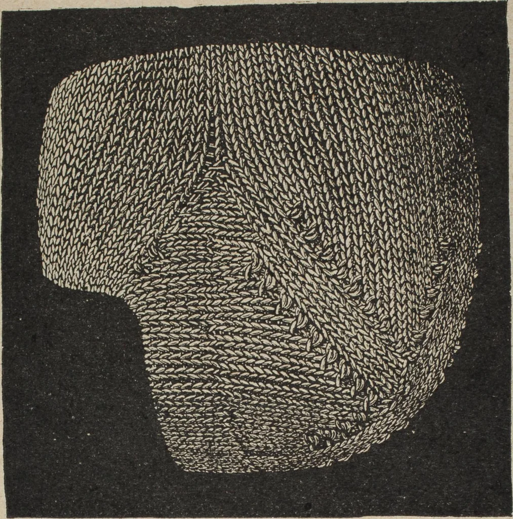 An illustration from Florence home needle-work, 1894, leaf 44