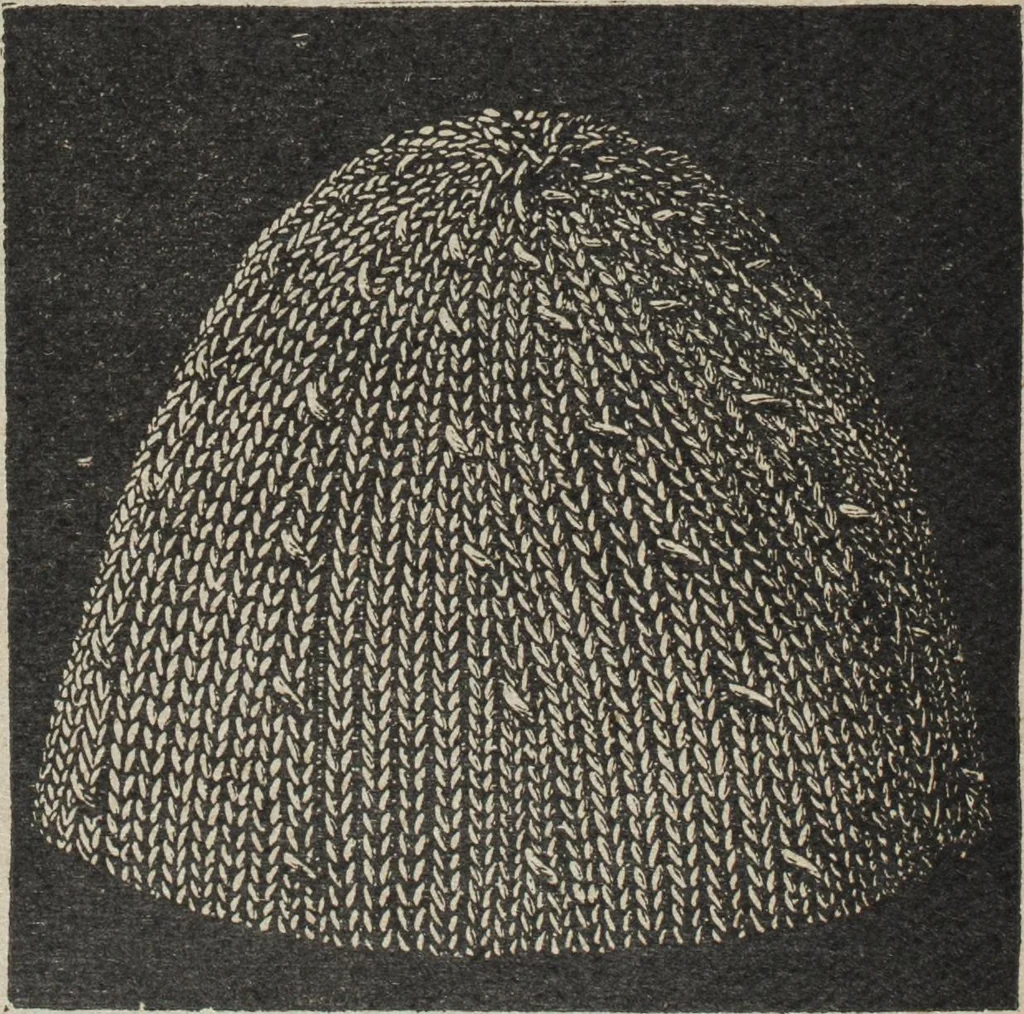 An illustration from Florence home needle-work, 1894, leaf 46
