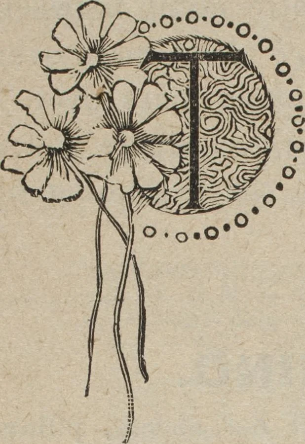 An illustration from Florence home needle-work, 1894, leaf 74