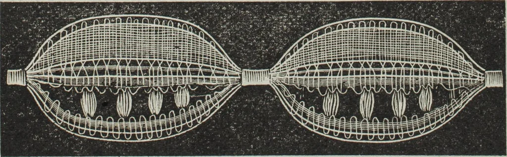 An illustration from Florence home needle-work, 1895, leaf 10