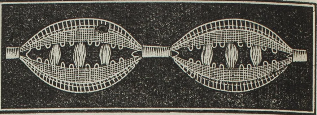 An illustration from Florence home needle-work, 1895, leaf 11