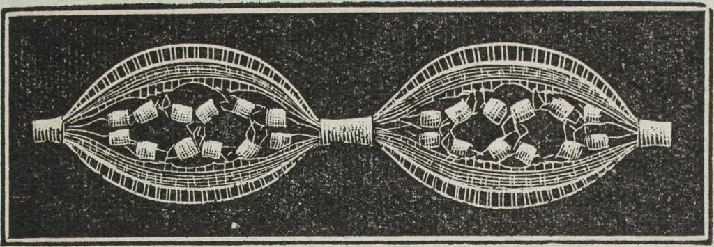 An illustration from Florence home needle-work, 1895, leaf 11