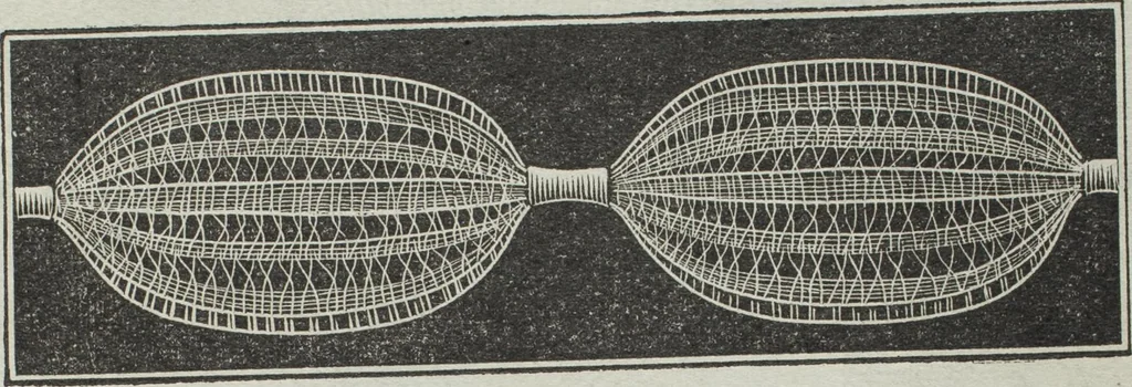 An illustration from Florence home needle-work, 1895, leaf 14