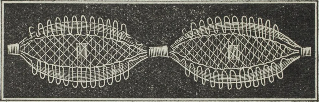 An illustration from Florence home needle-work, 1895, leaf 16