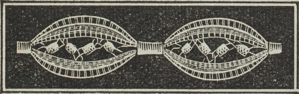 An illustration from Florence home needle-work, 1895, leaf 16