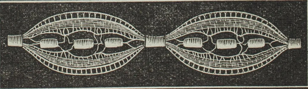 An illustration from Florence home needle-work, 1895, leaf 16