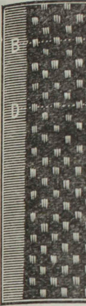 An illustration from Florence home needle-work, 1895, leaf 43