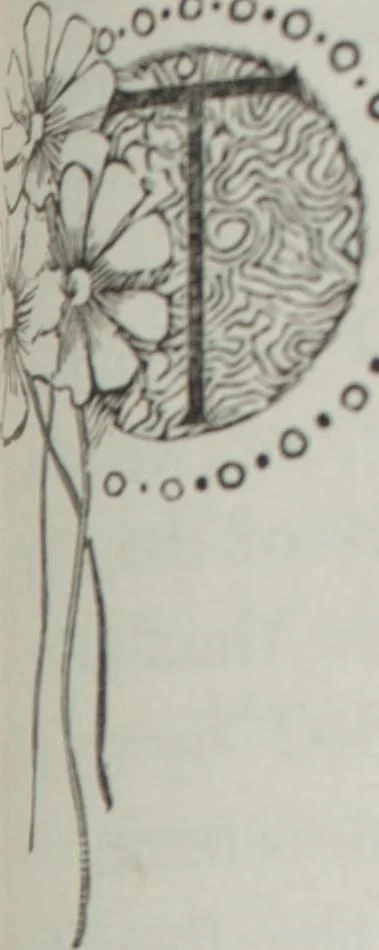 An illustration from Florence home needle-work, 1895, leaf 49