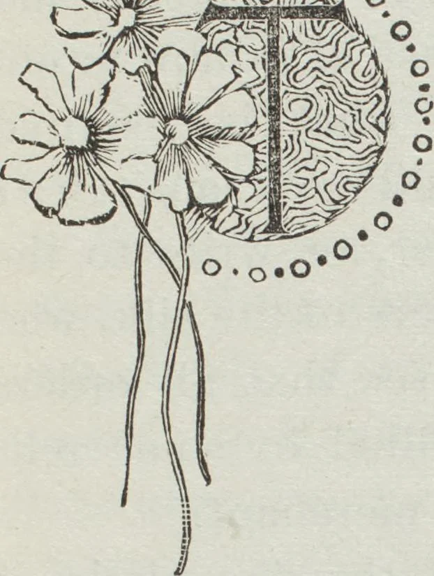 An illustration from Florence home needle-work, 1895, leaf 50