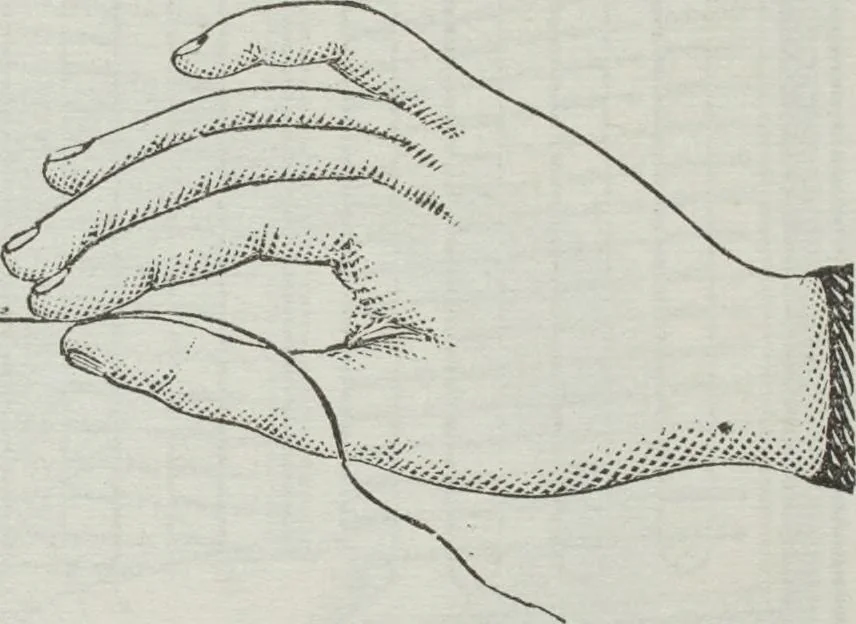 An illustration from Florence home needle-work, 1895, leaf 80
