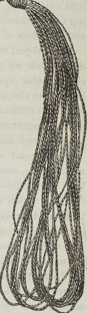 An illustration from Florence home needle-work, 1895, leaf 9