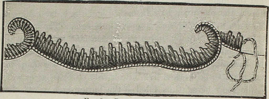 An illustration from Florence home needle-work, 1896, leaf 17