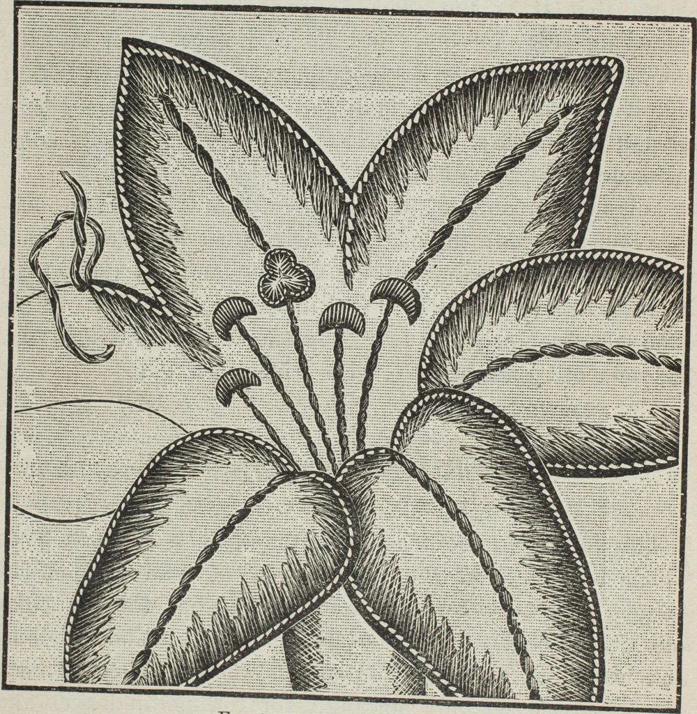 An illustration from Florence home needle-work, 1896, leaf 17