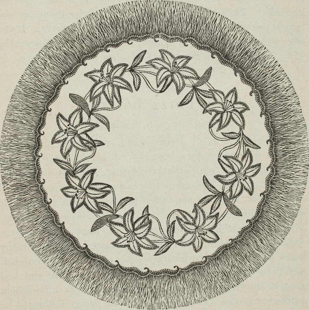 An illustration from Florence home needle-work, 1896, leaf 18