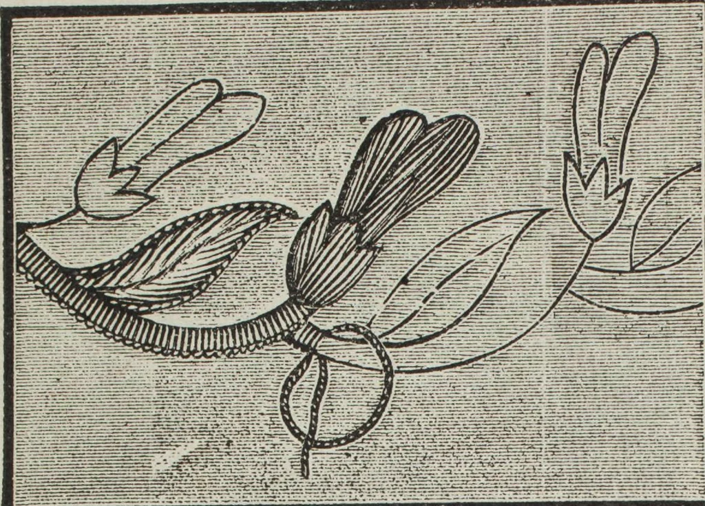 An illustration from Florence home needle-work, 1896, leaf 21