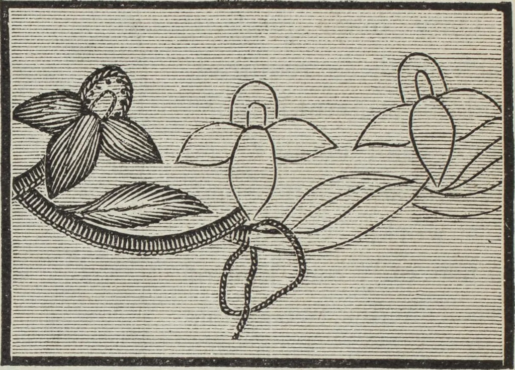An illustration from Florence home needle-work, 1896, leaf 21