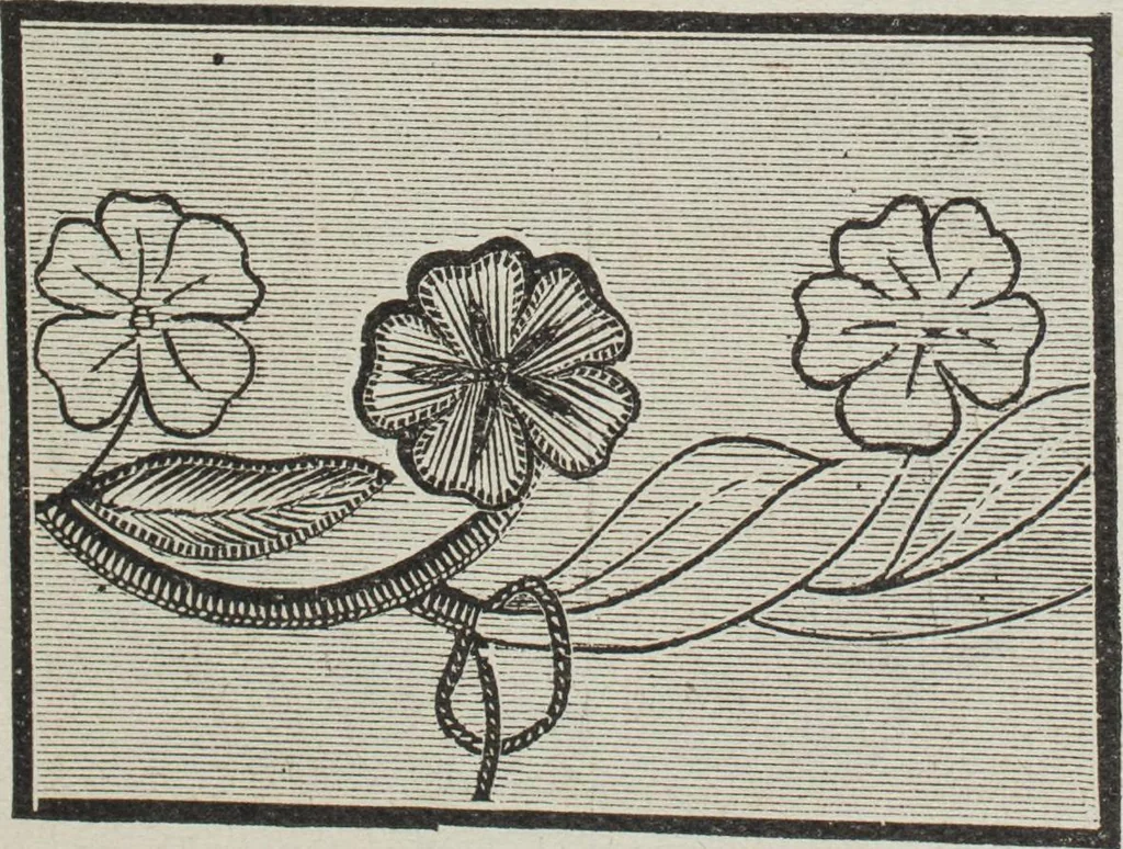 An illustration from Florence home needle-work, 1896, leaf 21
