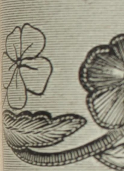 An illustration from Florence home needle-work, 1896, leaf 21