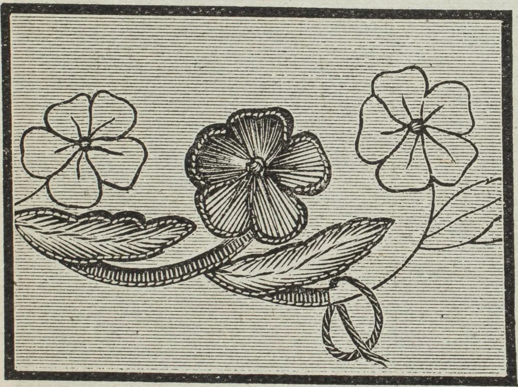 An illustration from Florence home needle-work, 1896, leaf 22