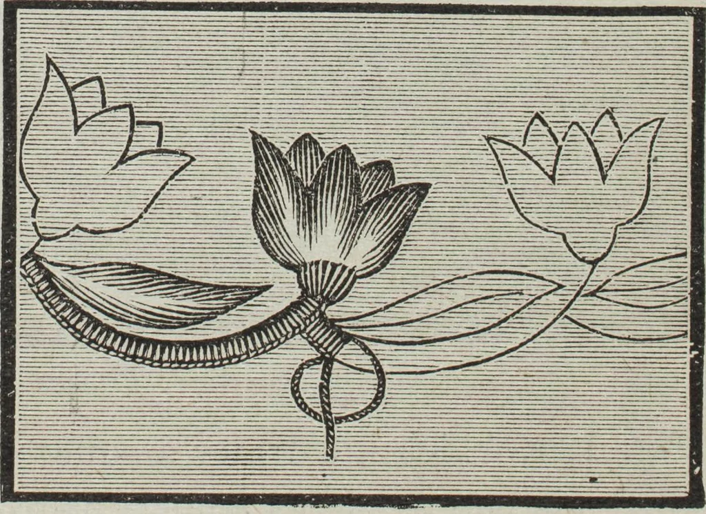 An illustration from Florence home needle-work, 1896, leaf 22