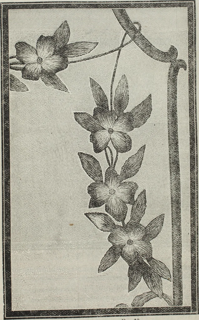 An illustration from Florence home needle-work, 1896, leaf 24