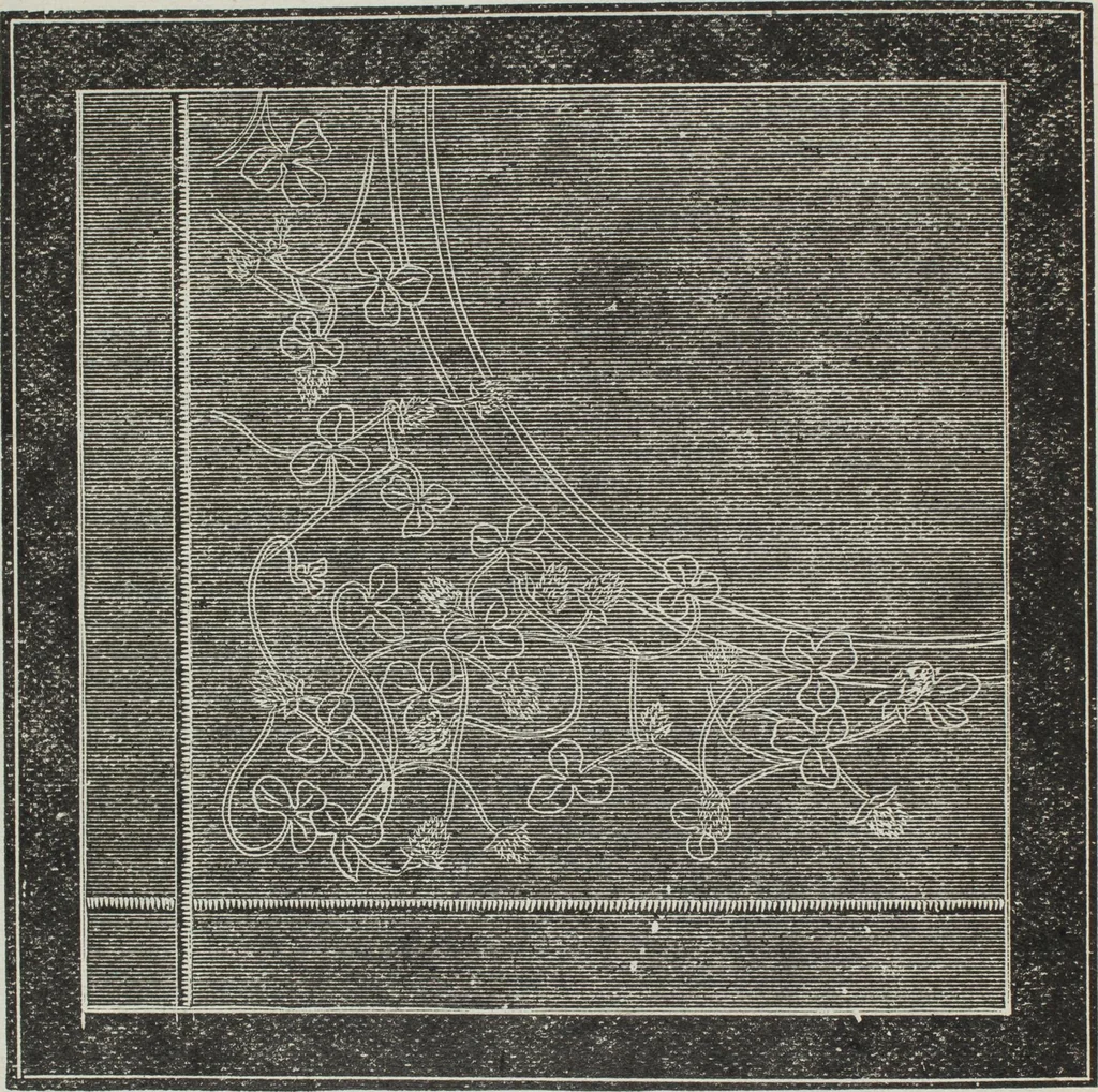 An illustration from Florence home needle-work, 1896, leaf 27