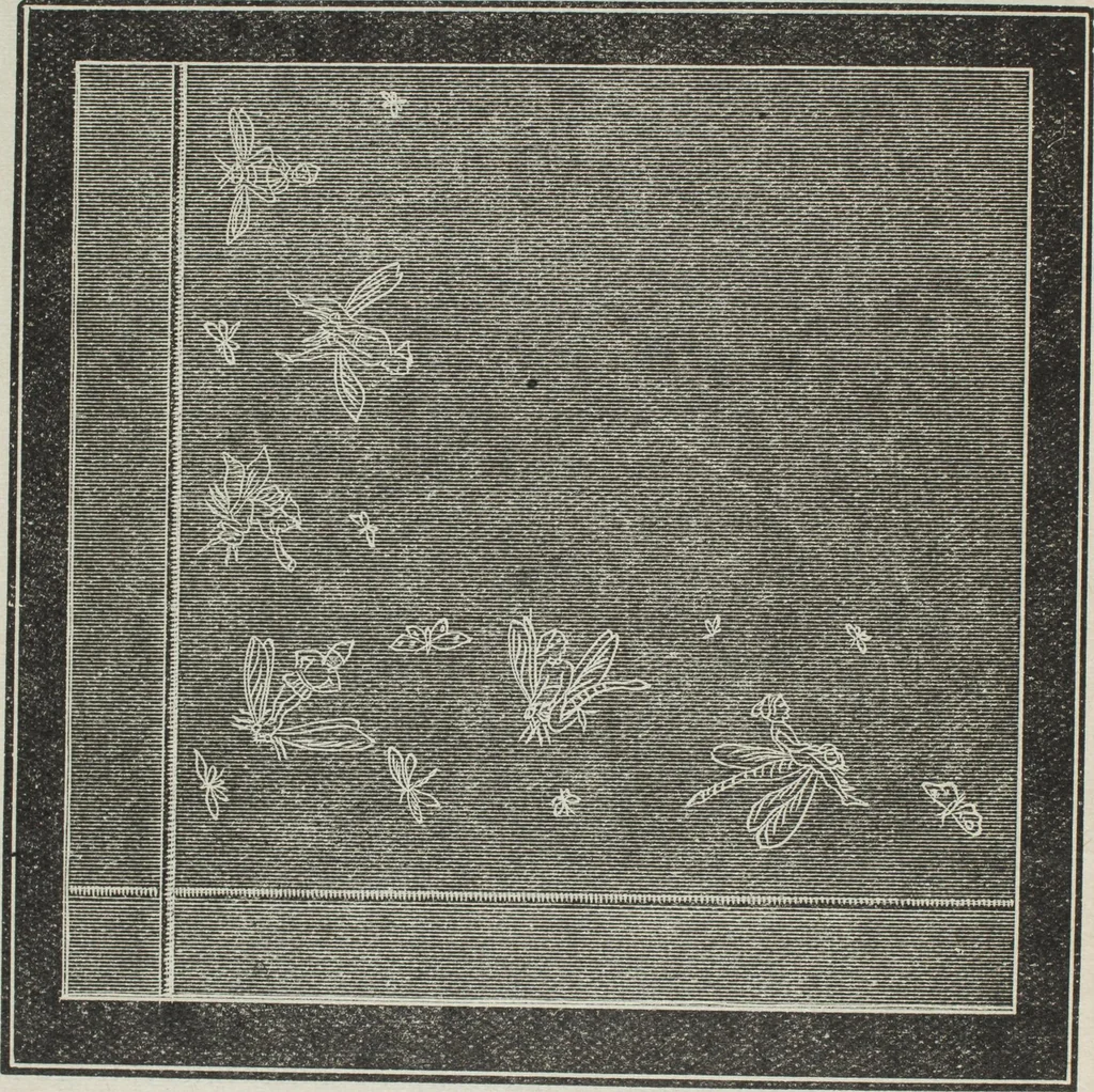 An illustration from Florence home needle-work, 1896, leaf 29